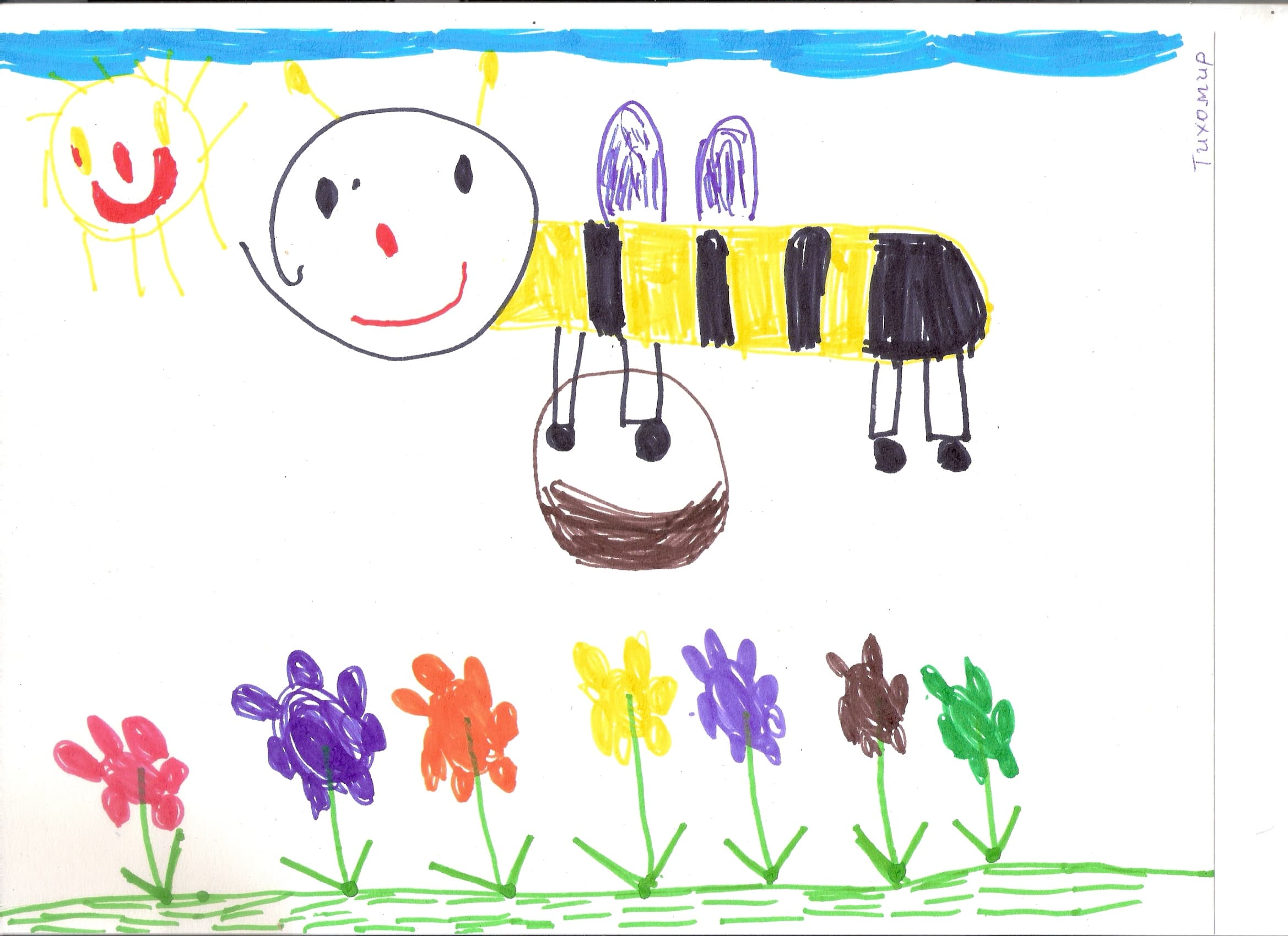 Original drawing